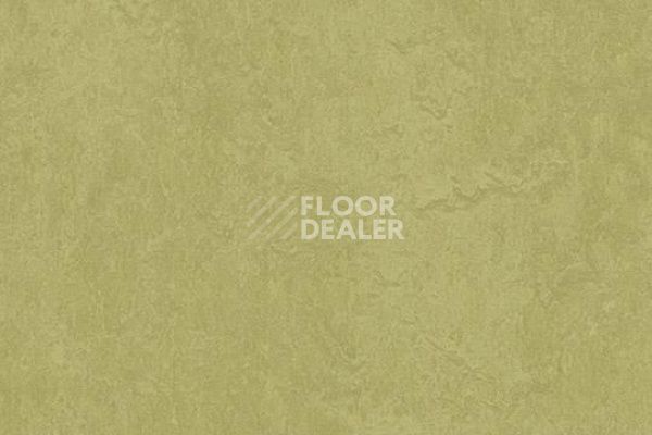 Линолеум Marmoleum Decibel on Order 326535 avocado фото 1 | FLOORDEALER